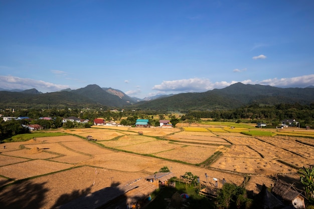 Mountain and rice fields view After harvest on Blue sky