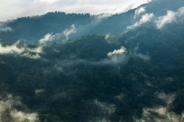 Mountain ridge and clouds in rural jungle bush forest