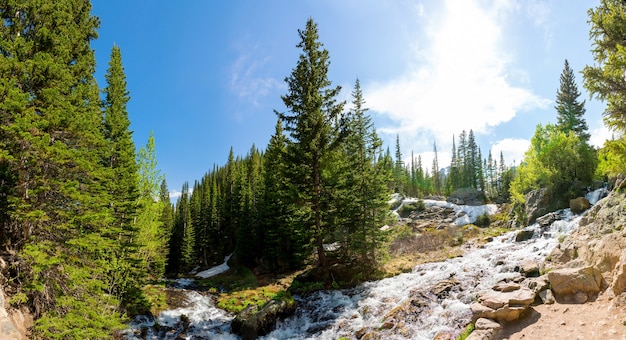 Mountain river against evergreen woods panorama