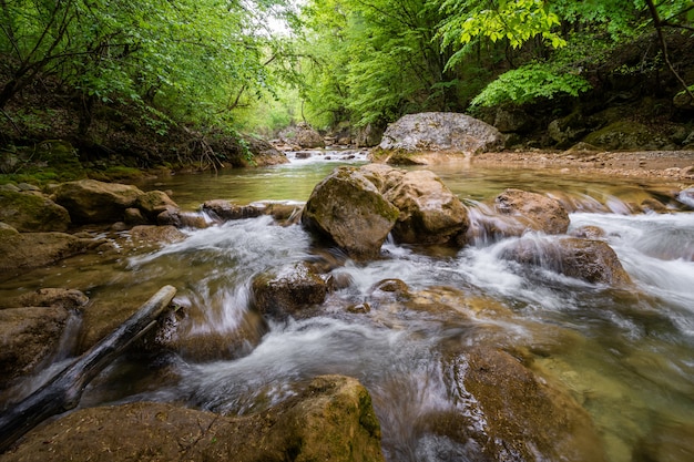 Mountain river flowing through the green forest