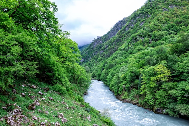 Mountain river and forest covered with low overcast clouds