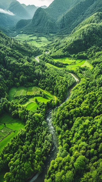 Photo mountain river between green green fields bright colors view from helicopter real foto ar 916 style