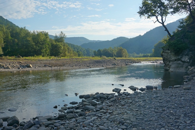 Mountain river in the morning in summer