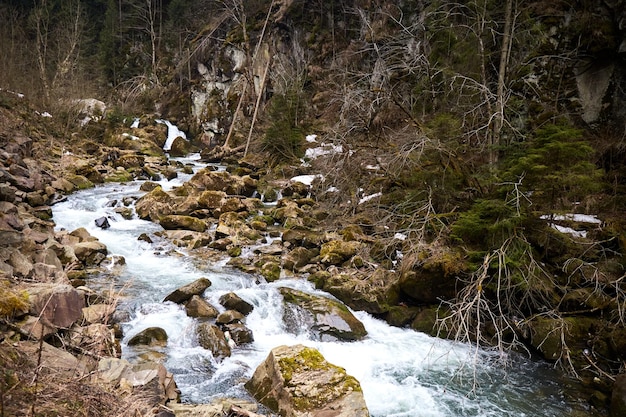 Mountain river narrow rocks and forming cascades Rural area of ukrainian village in mountains Early spring in Carpathian Mountains