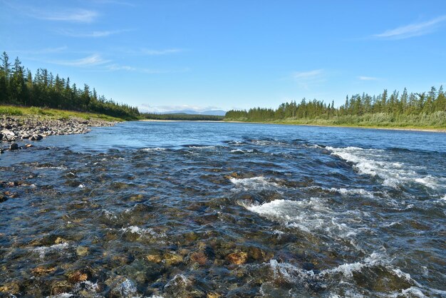 The mountain river Sob in the Polar Urals