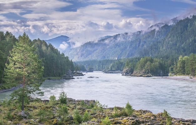 Mountain river on a summer morning forest along the banks cloudy