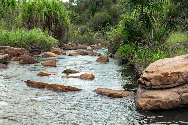 Mountain river in the tropical rainforest