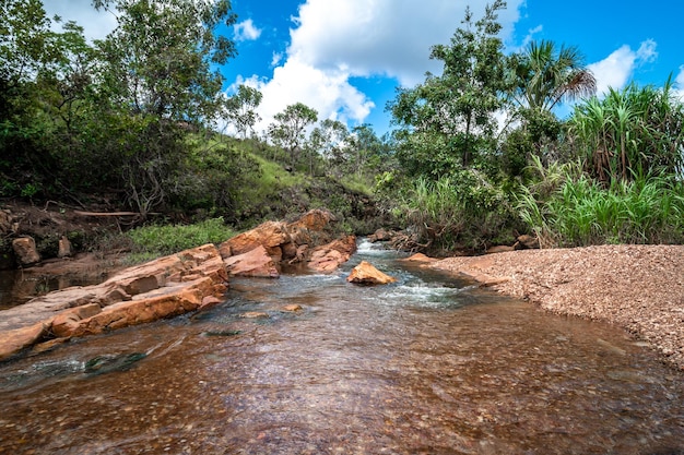 Mountain river in the tropical rainforest