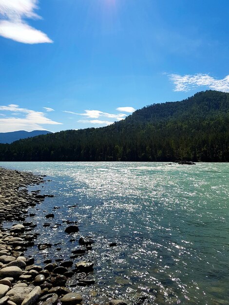 mountain river in the vast mountains of the altai mountains katun river