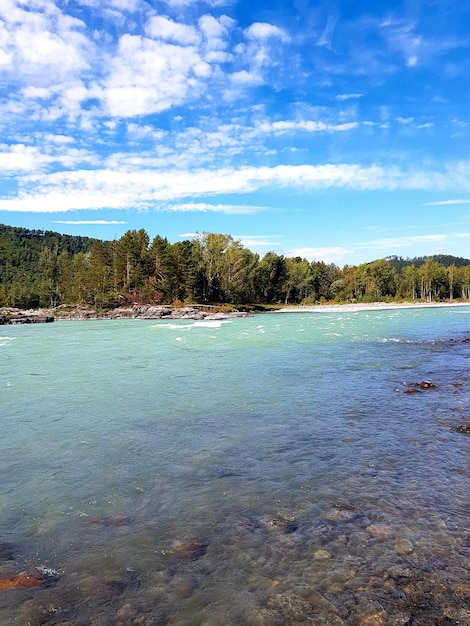 mountain river in the vast mountains of the altai mountains katun river