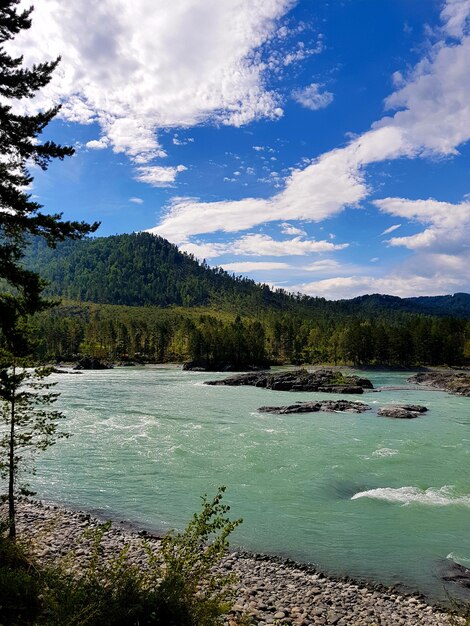 mountain river in the vast mountains of the altai mountains katun river