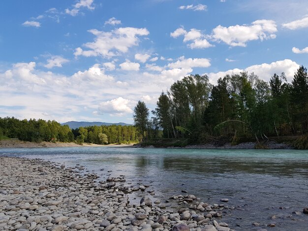 mountain river in the vast mountains of the altai mountains katun river