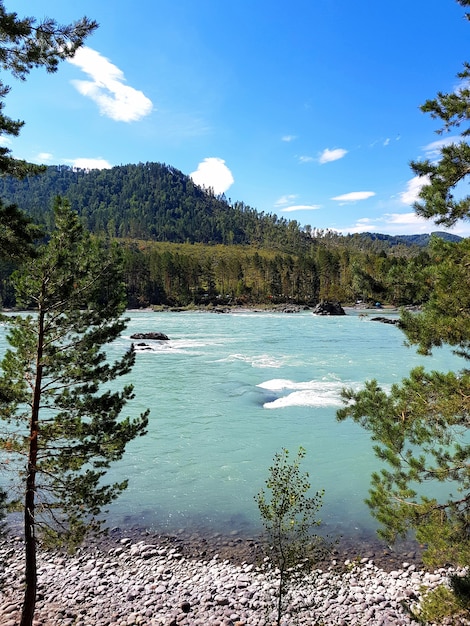 Mountain river in the vast mountains of the Altai Mountains