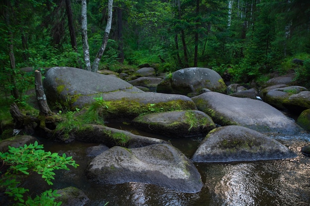 A mountain river with huge stones with green mosswild forest of taiga