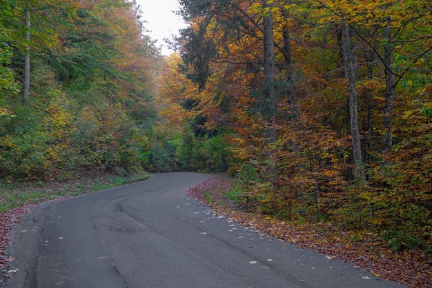 Mountain road in the autumn