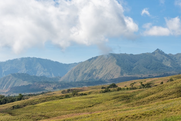 Mountain and savannah field with low cloud over hill