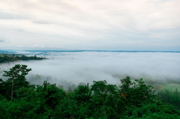 Mountain scenery with fog of Phetchabun Thailand