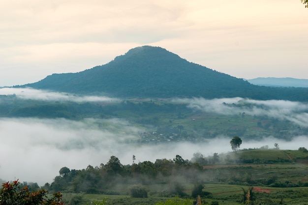 Mountain scenery with fog of Phetchabun Thailand