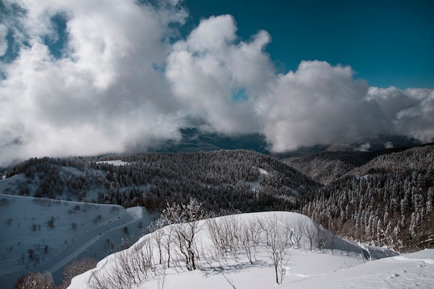 Mountain ski resort Rosa Khutor in Sochi.  Winter sunny day with cloudy