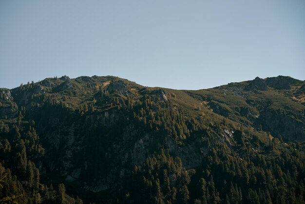 Mountain slopes landscape with fir trees in the fog in Zakopane Poland