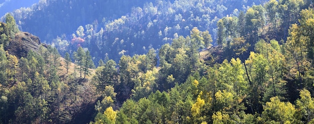 Mountain slopes overgrown with dense forest banner