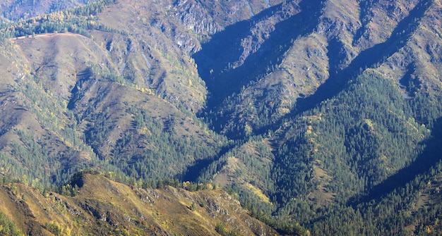 Mountain slopes overgrown with fores