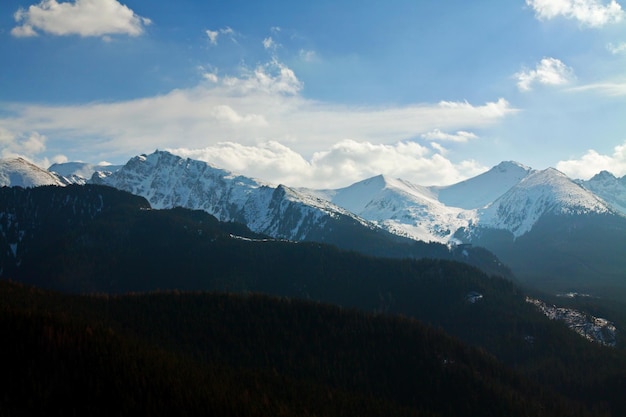 Mountain snowy landscape with forest