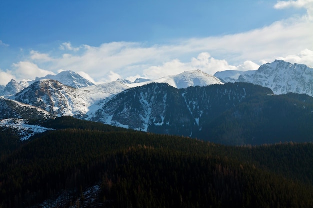 Mountain snowy landscape with forest