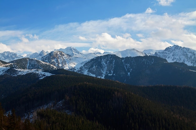 Mountain snowy landscape with forest