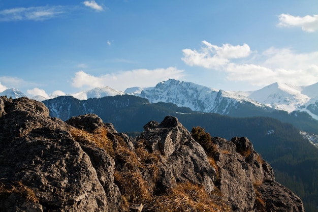 Mountain snowy landscape with rock