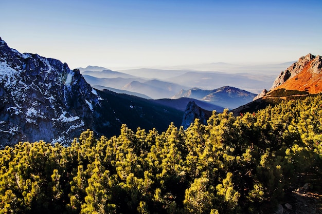 Mountain snowy landscape with rocks