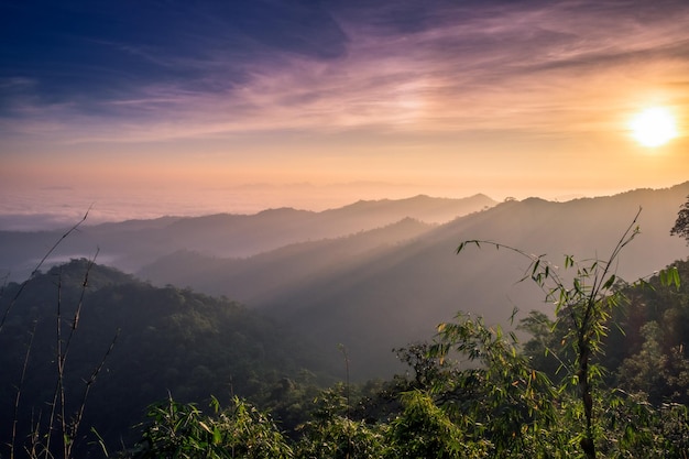 Mountain soft fog scenic sunrise at morning