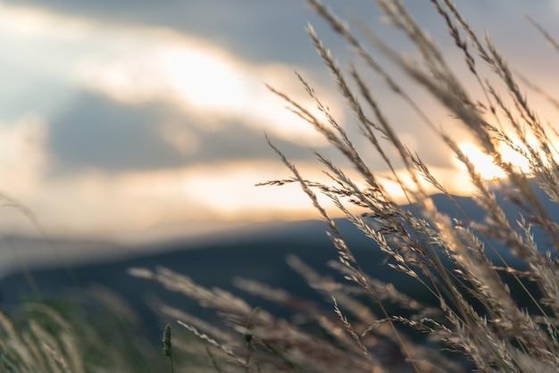 Mountain spikes against the wind in front of a blurry background