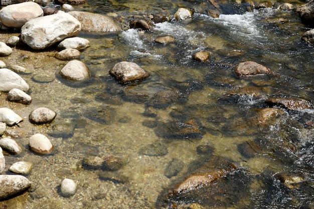 Mountain stream in summer season