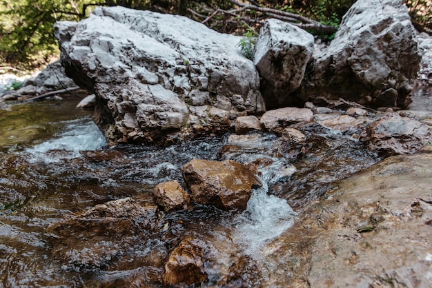 Mountain stream with clear water among rocks in forest