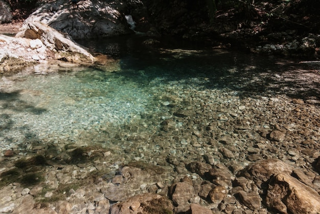 Mountain stream with clear water among the rocks in forest