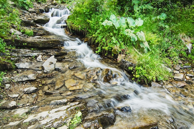 Mountain stream