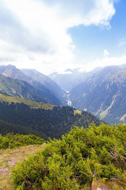 Mountain summer landscape Snowy mountains and green grass Peak Karakol Kyrgyzstan Beautiful view from the top of the mountain