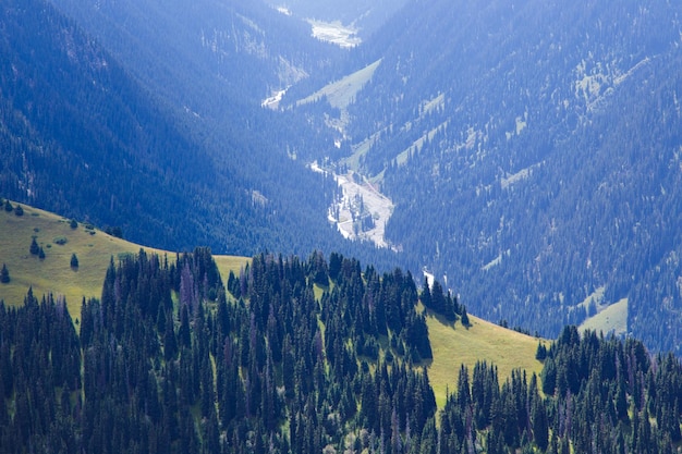 Mountain summer landscape Snowy mountains and green grass Peak Karakol Kyrgyzstan Beautiful view from the top of the mountain