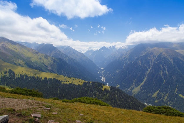 Mountain summer landscape Snowy mountains and green grass Peak Karakol Kyrgyzstan Beautiful view from the top of the mountain