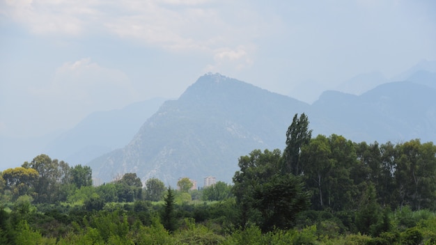 mountain summer landscape