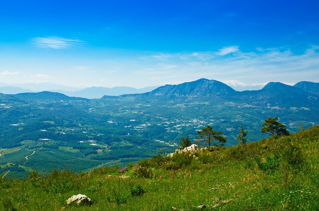 Mountain summer landscape