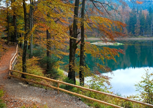 Mountain Synevir lake view through autumn tree twigs