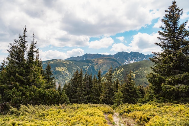 Photo mountain tatras landscape view from ridge of the low tatras hiking from certovica pass to chopok peak in low tatras liptov slovakia