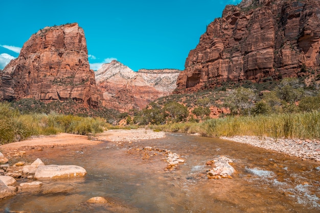 Photo mountain that climbs on the angels landing trail trekking in zion national park. united states