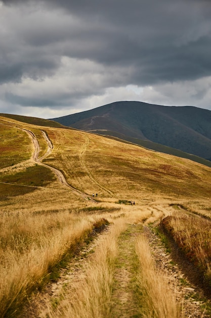 Mountain trail in Carpathian Mountains Ukraine Walking and hiking trails in Borzhava ridge Rural area of carpathian mountains in autumn