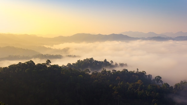 mountain valley during bright sunrise.Mist on the mountain