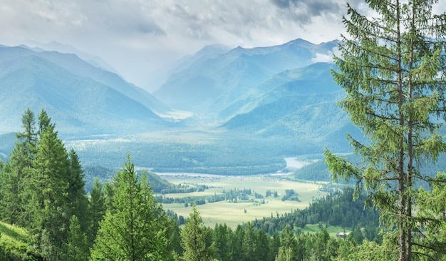 Mountain valley on a cloudy day summer greenery of forests