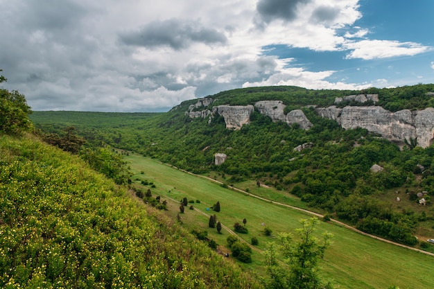 Mountain valley covered by forest, meadow and pasture