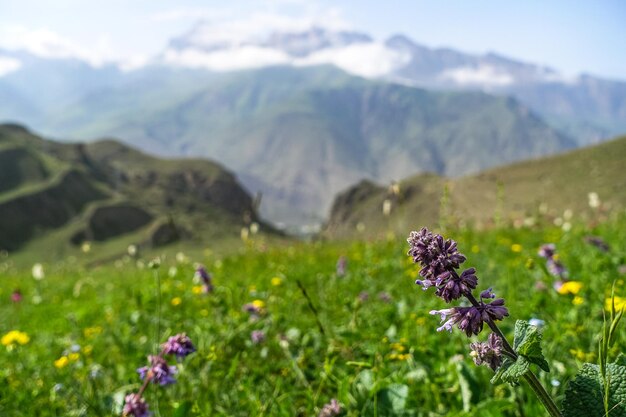 A mountain valley in the gorge of the CherekBalkar River in the vicinity of the Gymyhli tract Caucasus 2021